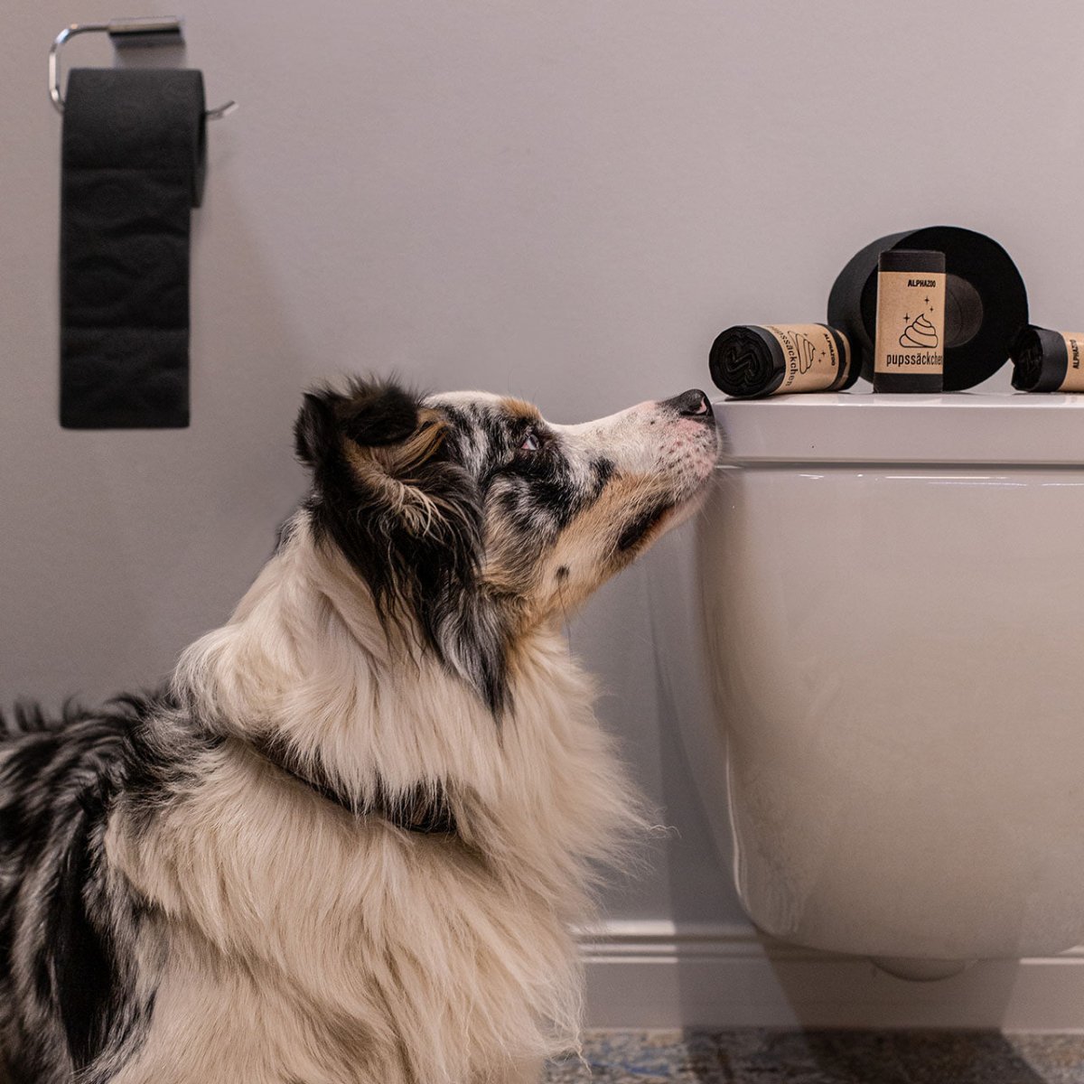 Hund schnüffelt am Kotbeutel - Sauberkeit und praktische Hygieneprodukte für Hundebesitzer