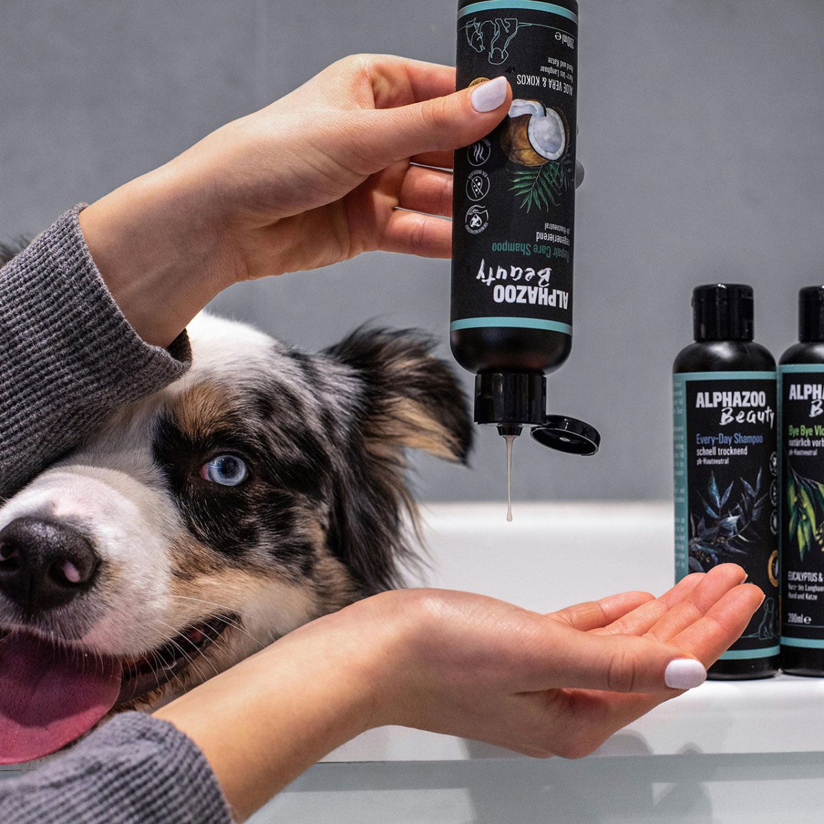 ein Hund wird gepflegt - Fell- und Hautpflegeprodukte für gesunden Hund