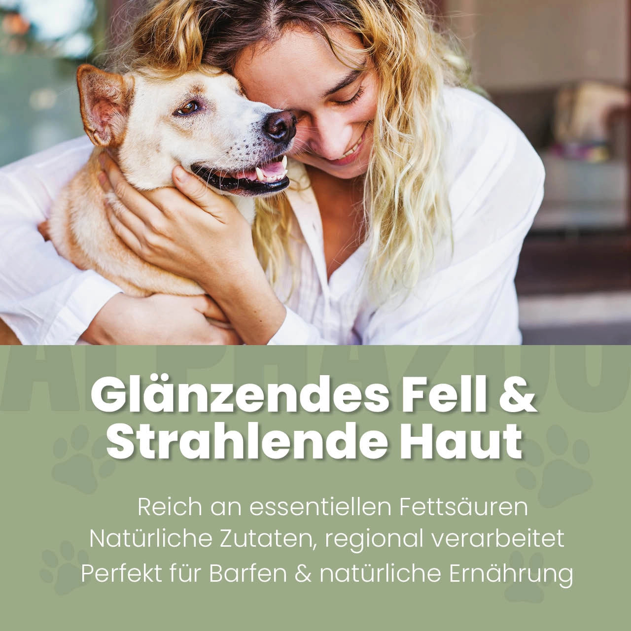 Hanföl für Hunde