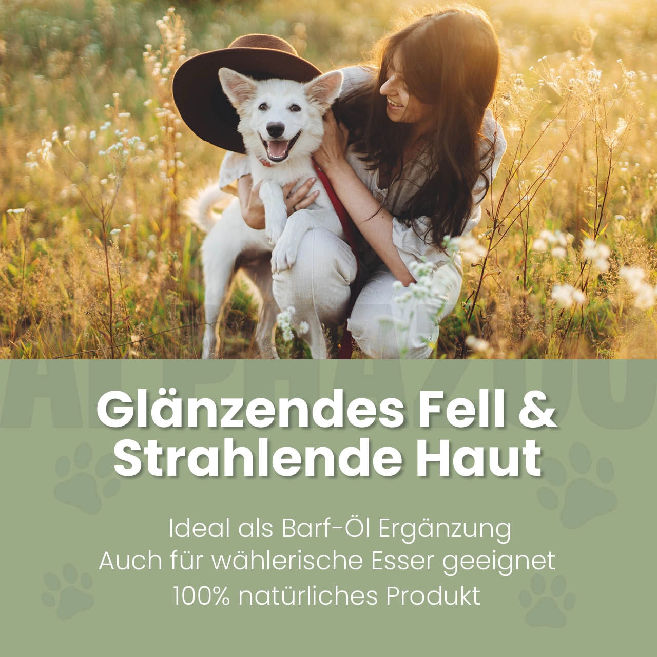 Lachsöl für Hunde