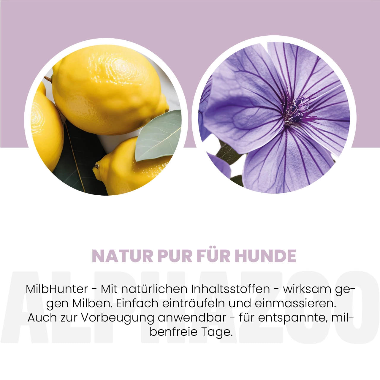 MilbHunter Spot-On für Hunde 100 ml