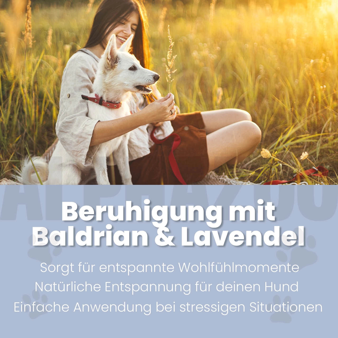 Seelenruhe Körbchenspray für Hunde