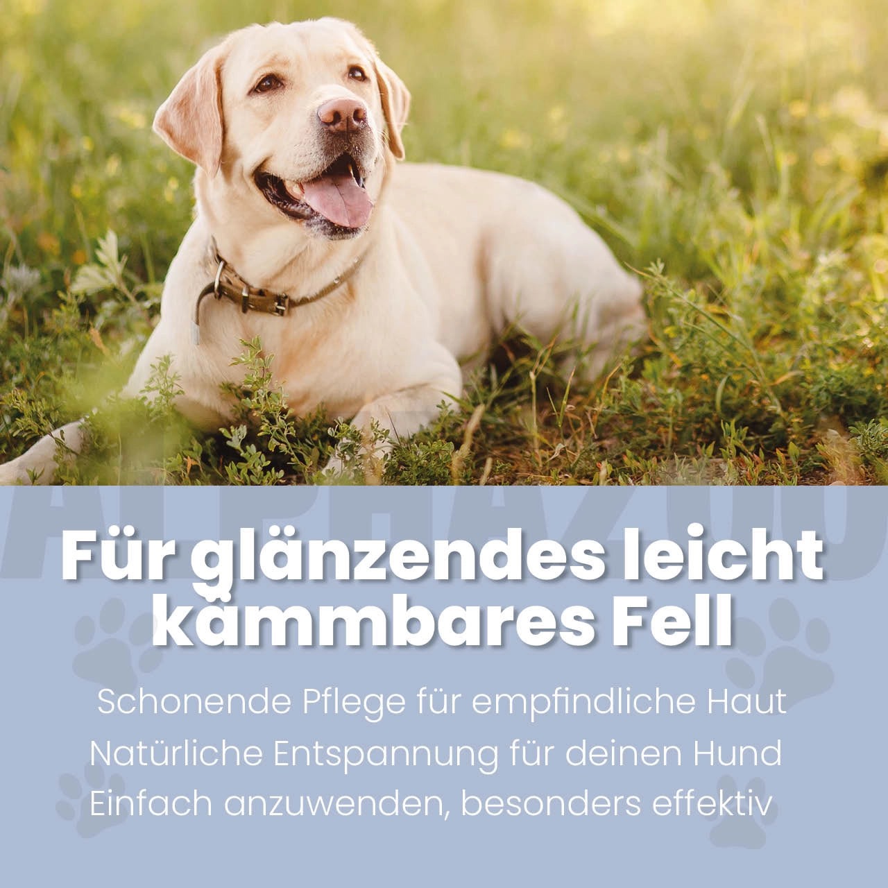 Sensibelchen Fellspray für Hunde 250 ml