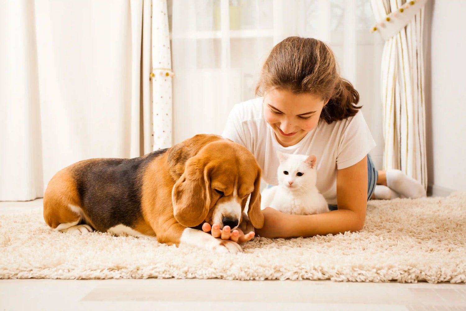 Frau kuschelt mit Hund und Katze_Tierhalterhaftpflichtversicherung