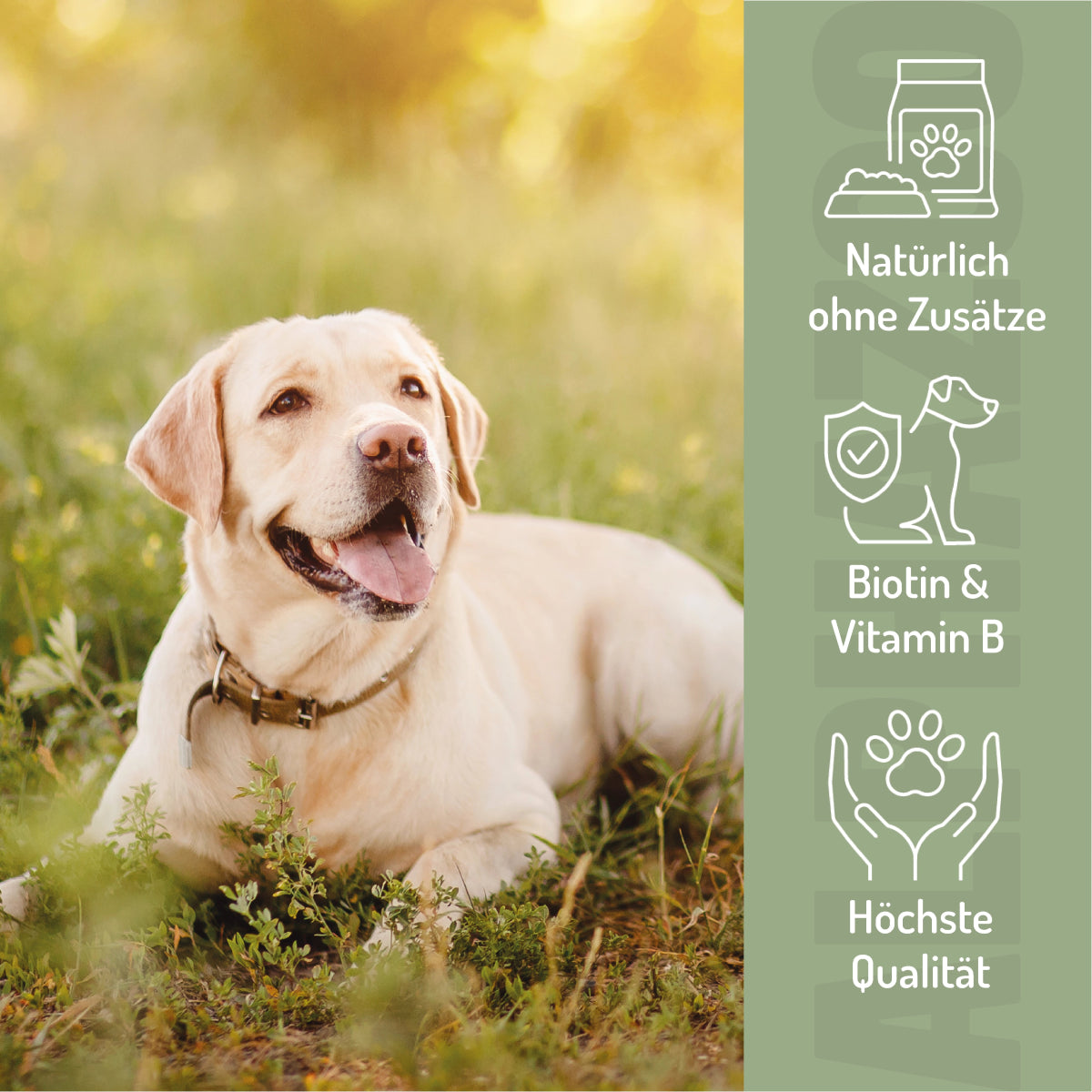 Bierhefe Pulver 250 g Bierhefe fĂŒr Hunde & Katzen â Biotin & Vitamin B-Komplex