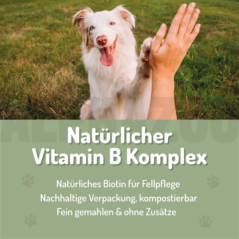 Brewer's yeast powder for dogs & cats I pure yeast I vitamin B complex Bierhefe für Hunde & Katzen – Biotin & Vitamin B-Komplex