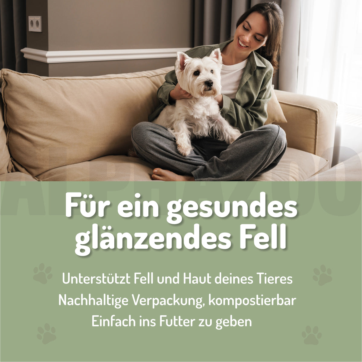 Bierhefe Tabletten Bierhefe Tabletten â Biotin & B-Vitamine fĂŒr Hunde & Katzen