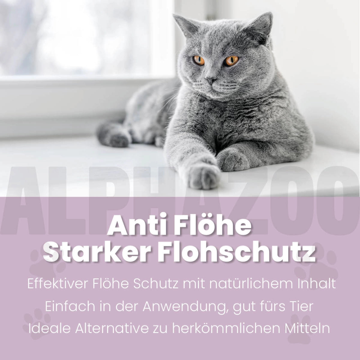 ByeByeVloh Spot-On für Katzen 100 ml ByeByeVloh Spot-On für Katzen – natürlicher Schutz gegen Flöhe