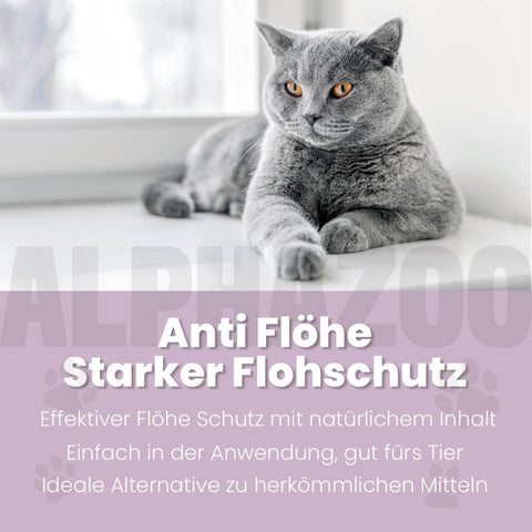 ByeByeVloh Spot-On for Cats 100 ml ByeByeVloh Spot-On für Katzen – natürlicher Schutz gegen Flöhe