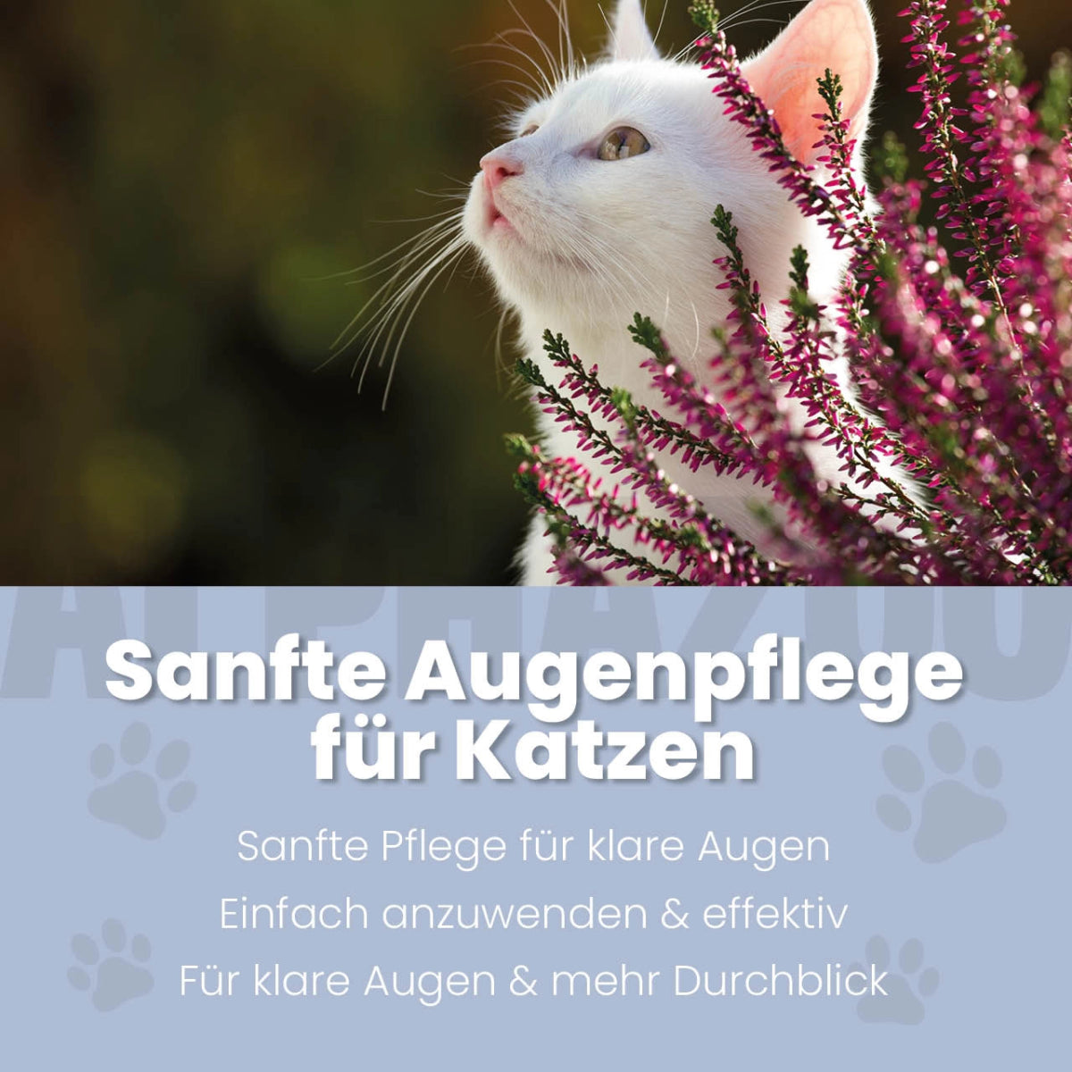 Durchblick eye care for cats 100 ml