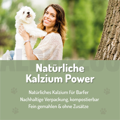 Eggshell powder for dogs & cats I Calcium from eggshells Eierschalenpulver Hund & Katze – Natürliche Kalziumquelle für Knochen & Zähne