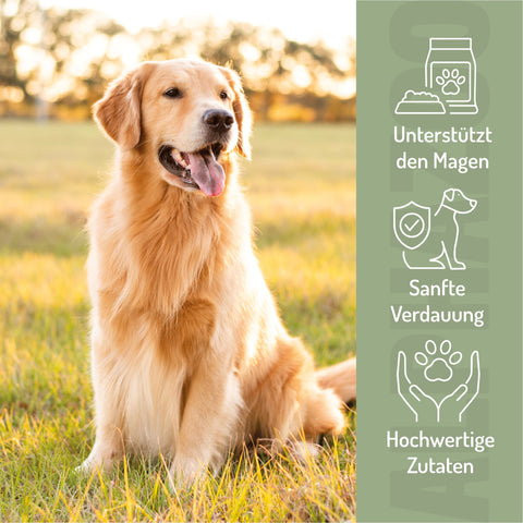 Fauchi Bauchi 60g Fauchi Bauchi Hundesnack â Leckerlis mit Bierhefe & Lachsöl fĂŒr sensiblen MĂ€gen