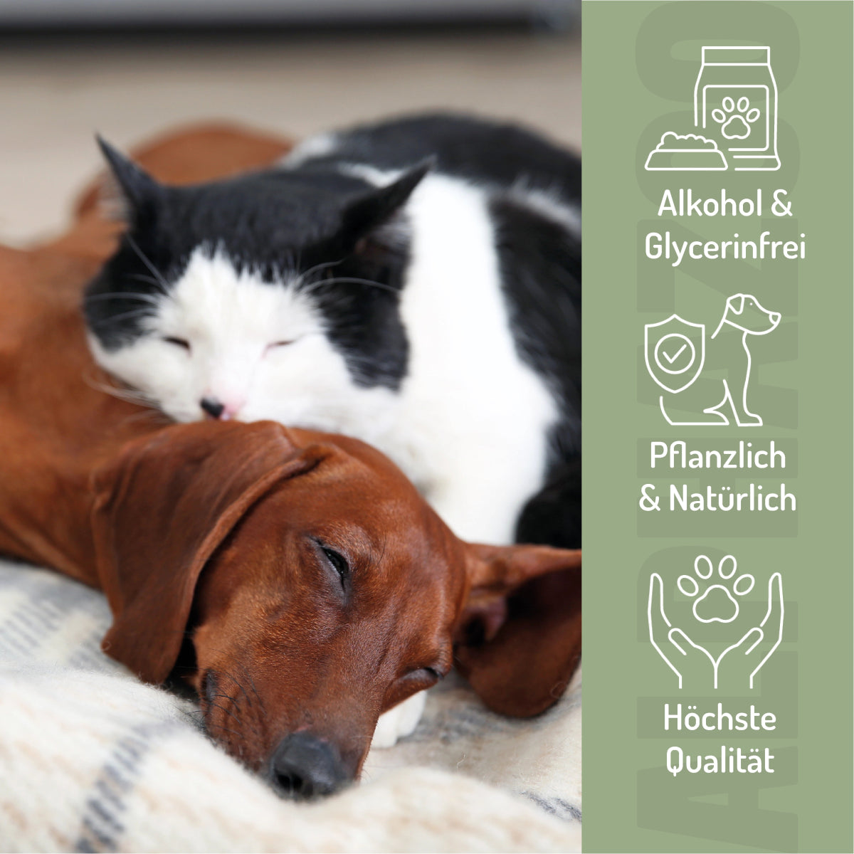 Stomach Rest Bach Flowers 15g for Dogs & Cats I Gastrointestinal Globules