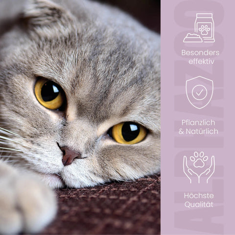 MilbHunter Spot-On for Cats 100 ml Milbhunter Spot-On mit Eukalyptusöl & Geraniol für Katze – wirksamer Schutz gegen Milbenbefall