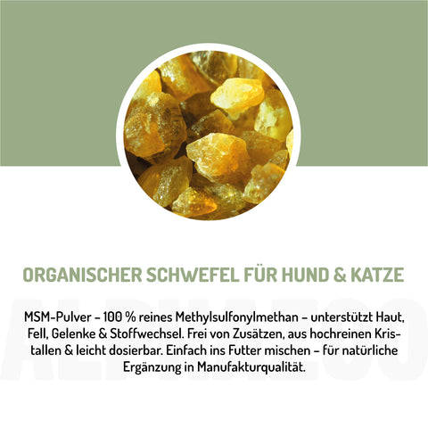 MSM powder for dogs & cats I Organic sulfur for agility MSM Pulver â UnterstĂŒtzung der gesunden Gelenkfunktion