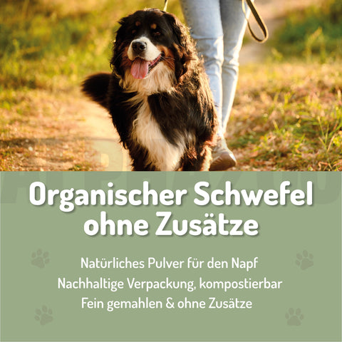 MSM powder for dogs & cats I Organic sulfur for agility MSM Pulver â UnterstĂŒtzung der gesunden Gelenkfunktion