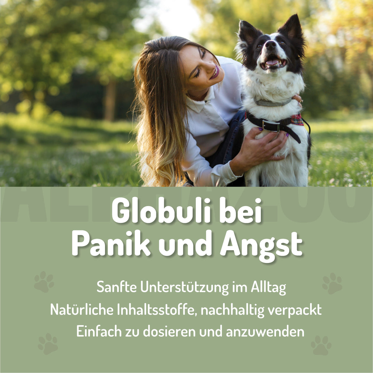 Panik Stop BachblĂŒten 15 g Panik-Stop BachblĂŒten â sanfte UnterstĂŒtzung bei Unruhe & Stress