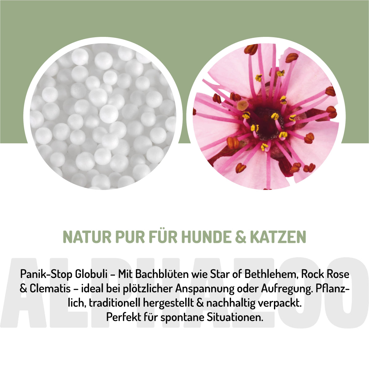 Panik Stop BachblĂŒten 15 g Panik-Stop BachblĂŒten â sanfte UnterstĂŒtzung bei Unruhe & Stress