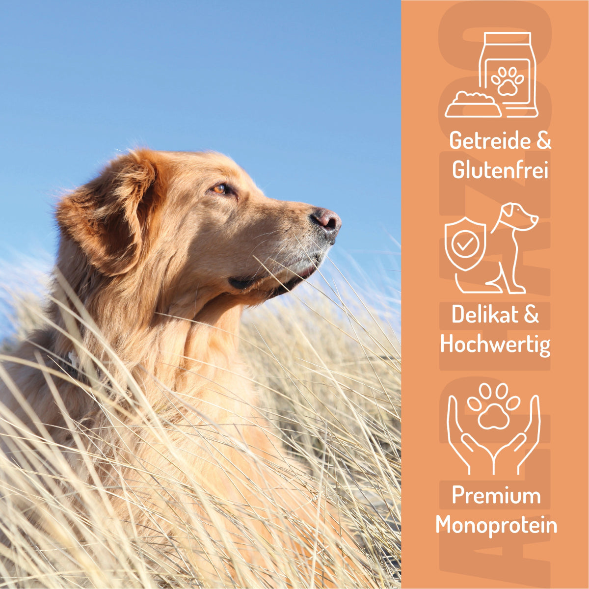 Tasting feast wet food 6 x 400g for dogs I beef, chicken & horse trial package Probierpaket 6 x 400g – Monoprotein Rind, Huhn & Pferd, getreidefrei & zuckerfrei