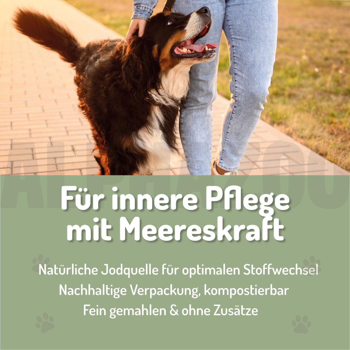 Seealgenmehl 250 g