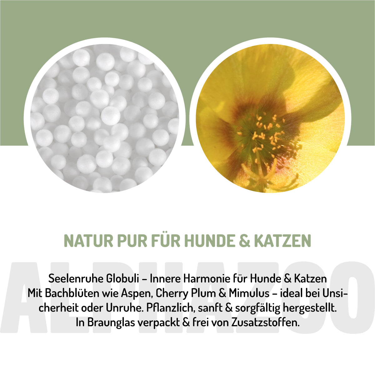 Seelenruhe BachblĂŒten 15 g Seelenruhe BachblĂŒten 15 g, sanfte Entspannung fĂŒr Hunde und Katzen als Globuli