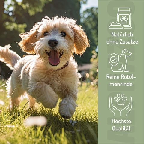 Elm Bark Powder for Dogs & Cats I American Slippery Elm Bark