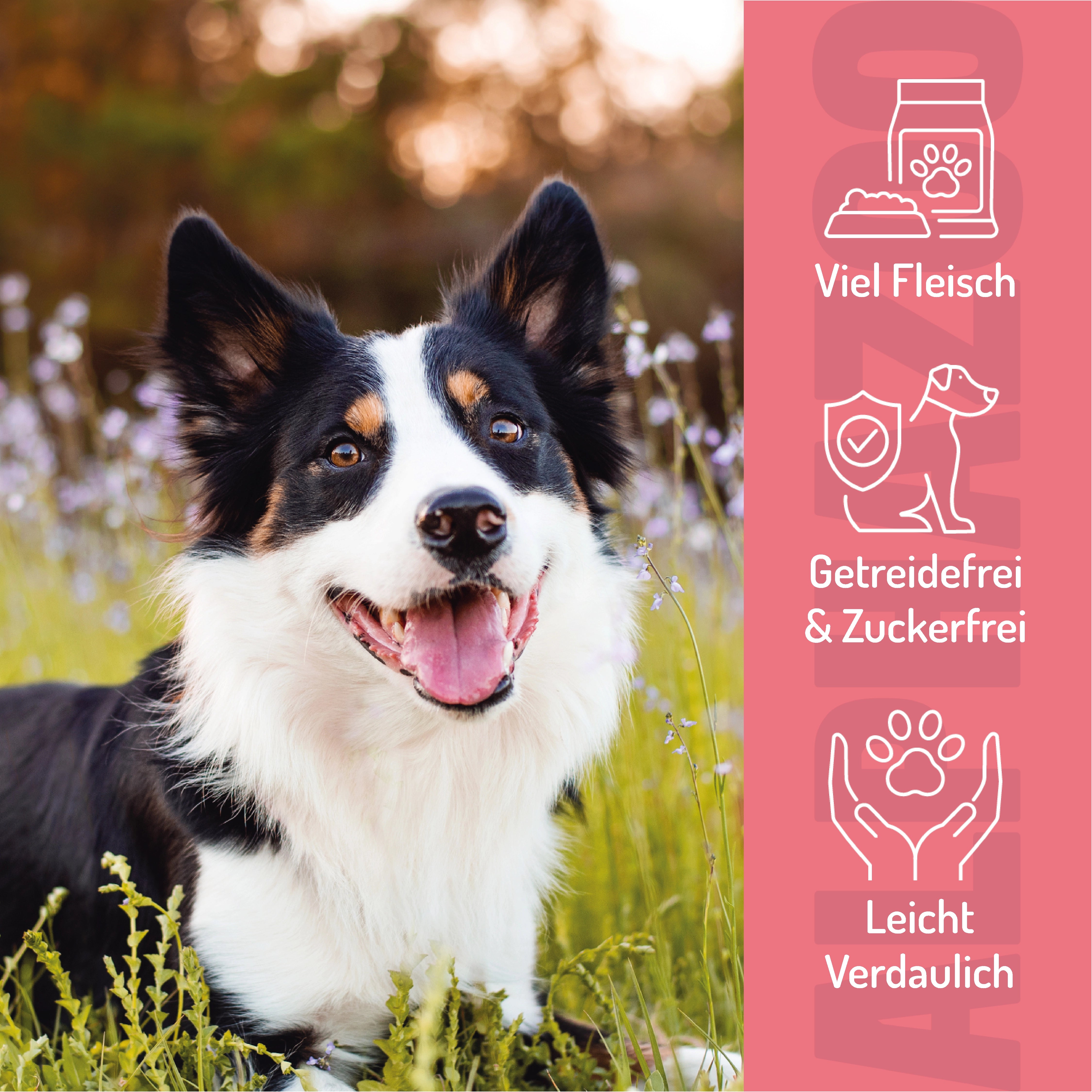 Wir wollen Meer Chicks 65 g