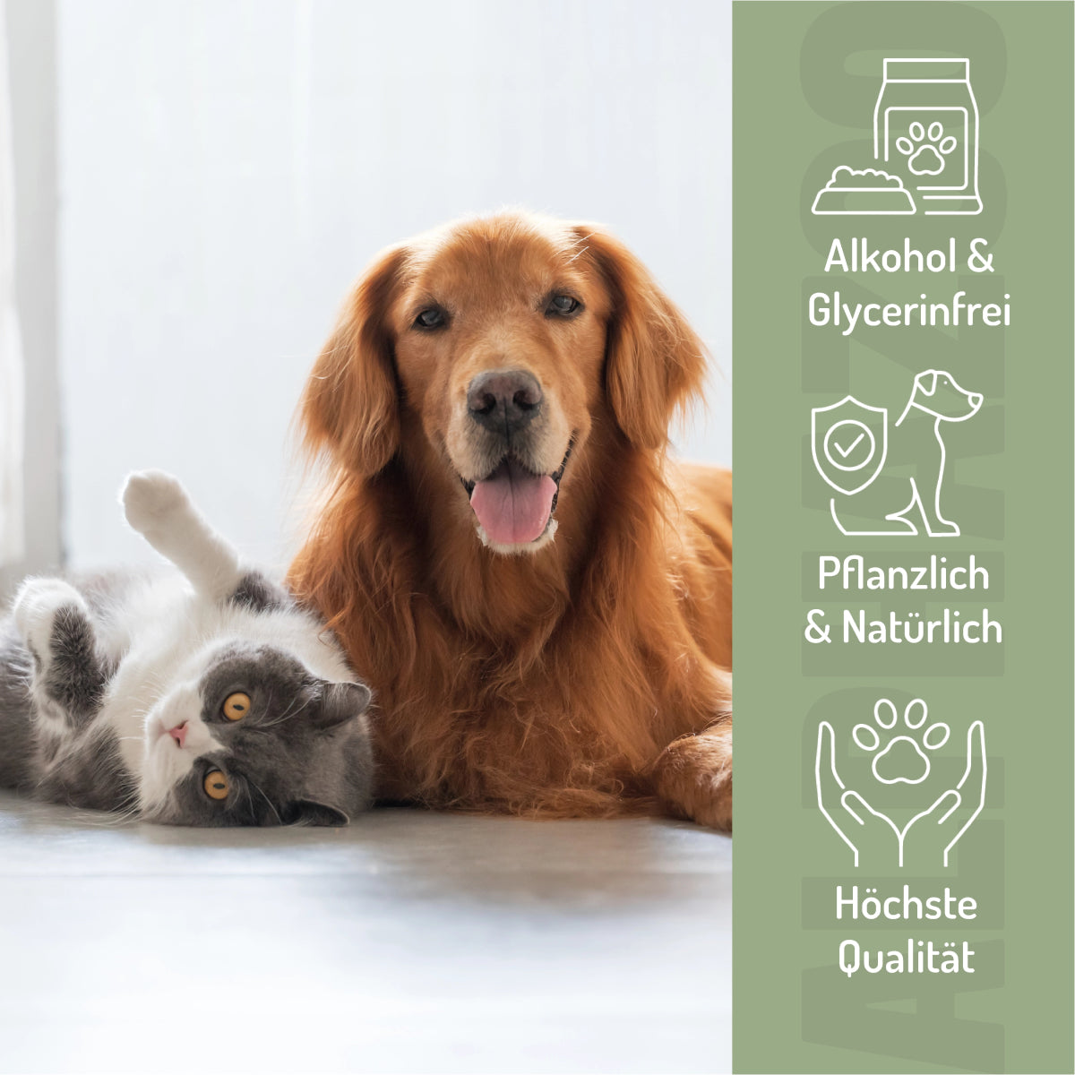 WutbĂ€ndiger BachblĂŒten 15 g WutbĂ€ndiger BachblĂŒten Globuli. Sanfte Begleitung zur UnterstĂŒtzung von Balance & innerer Ruhe.
