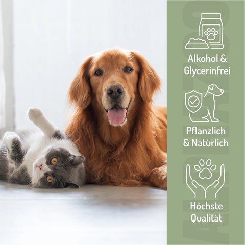 Anger tamer Bach flowers 15g for aggressive dogs & cats I barking & biting WutbĂ€ndiger BachblĂŒten Globuli. Sanfte Begleitung zur UnterstĂŒtzung von Balance & innerer Ruhe.