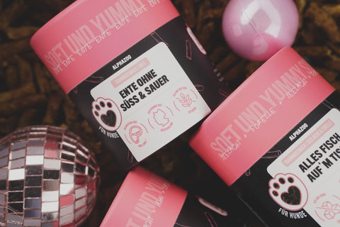 Dog training with rewards and treats: This is how it works with fun and success!