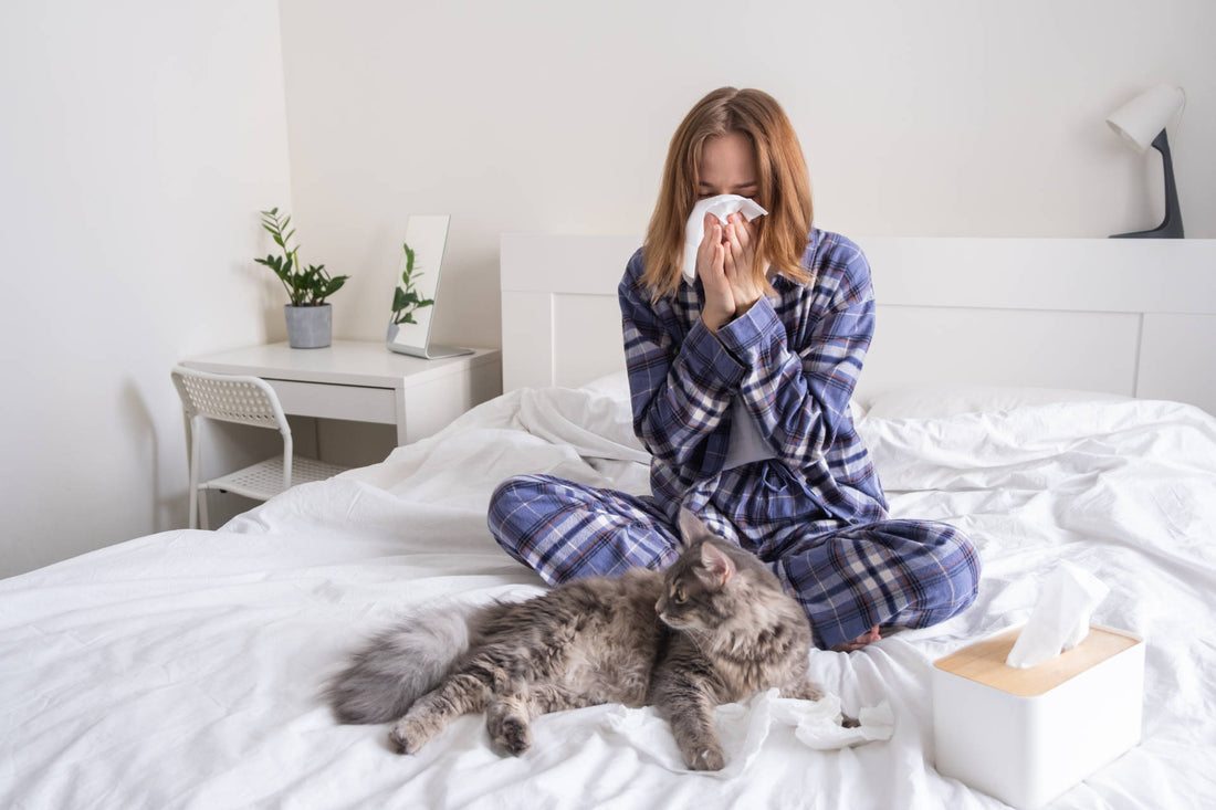 Allergie bei Katzen: Wenn dein Stubentiger empfindlich wird