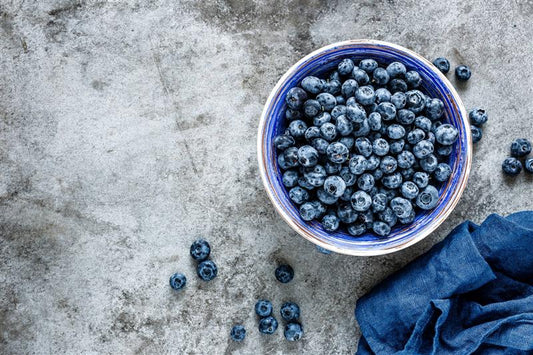 Blaubeeren für Hunde: Dürfen Hunde Blaubeeren essen und wie gesund sind sie?