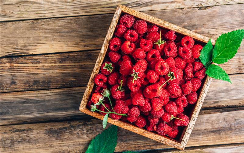 Himbeeren für Hunde: Leckere Frucht oder besser vermeiden?