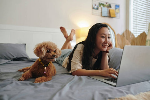 Frau liegt mit Hund auf dem Sofa, Hund liegt daneben - Hundesteuer in Deutschland: Anmeldung, Kosten und  Tipps