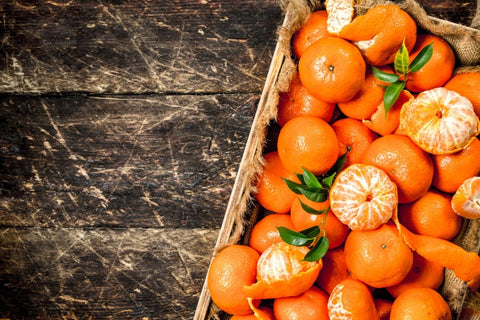 Mandarinen im Karton: Leckere Vitaminbomben für Hunde oder besser meiden?