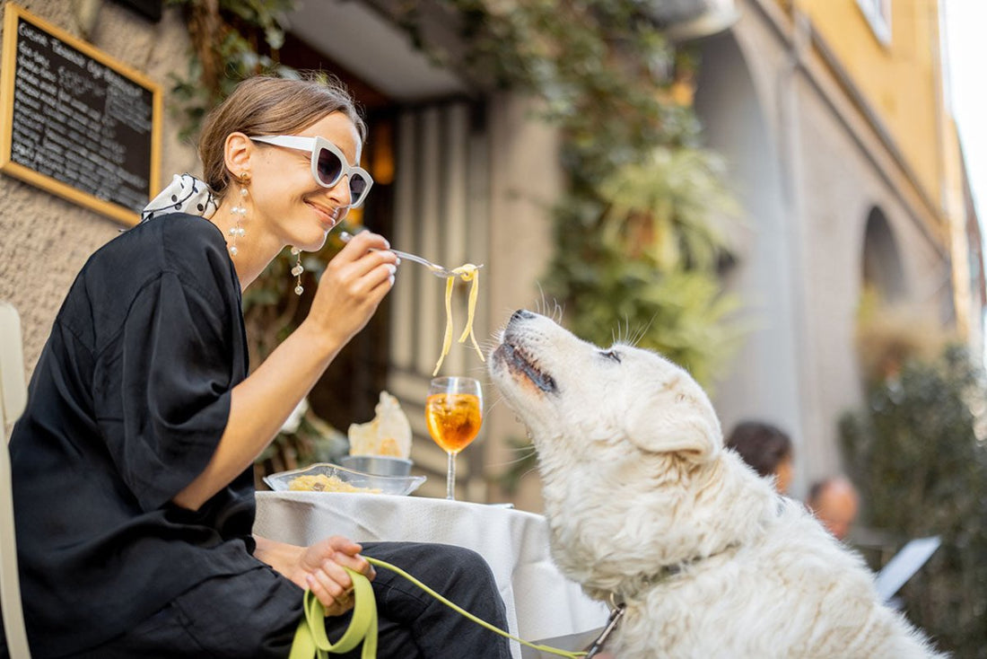 Frau füttert Hund mit Nudeln - Dürfen Hunde Nudeln essen?