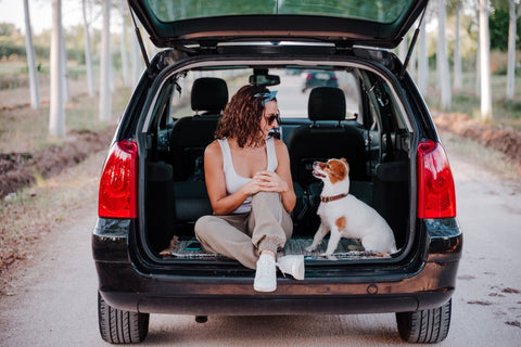 Sicheres Autofahren mit Hund – Darauf solltest du achten - ALPHAZOO