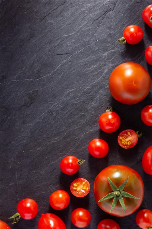 Tomaten für Hunde: Sicherer Genuss oder potenzielle Gefahr?