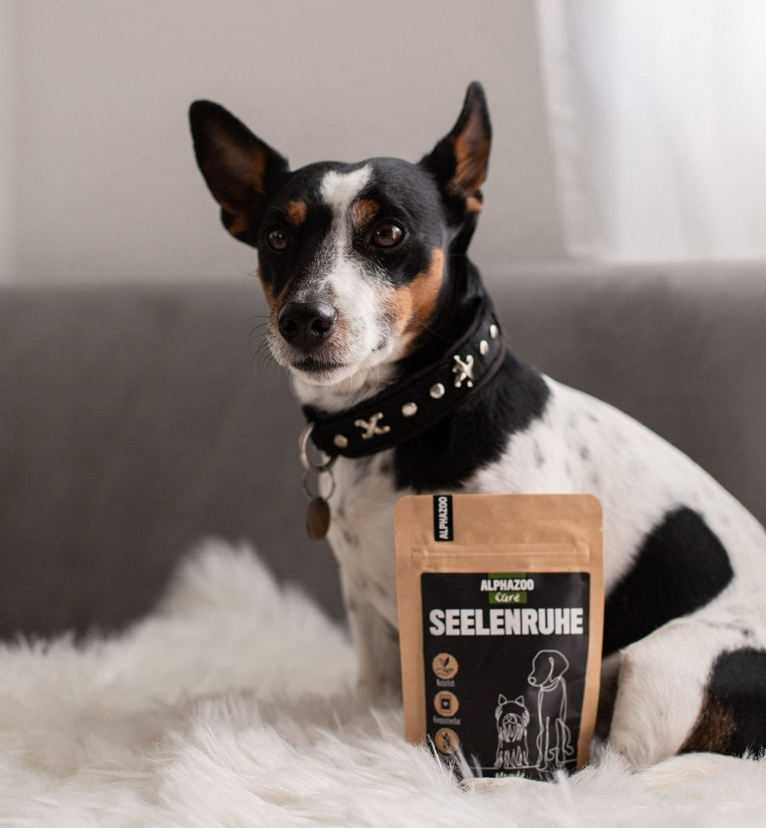 Hund mit Produkt Seelenruhe - Unruhe bei Hunden