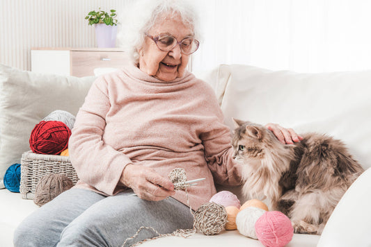 Wie alt werden Katzen wirklich? Die Fakten auf einen Blick