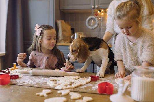Cinnamon and cookies - Can dogs snack on Christmas cookies?