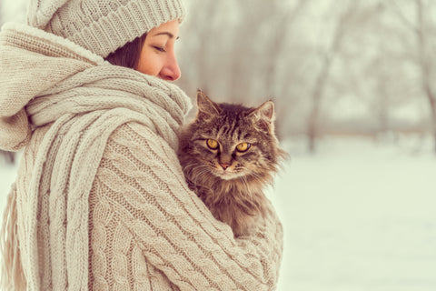 Für Deine erwachsenen Katzen