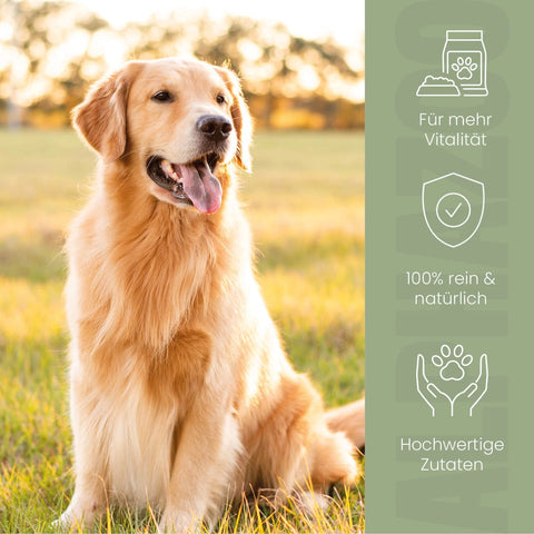 Alpha-Immun Futteröl für Hunde