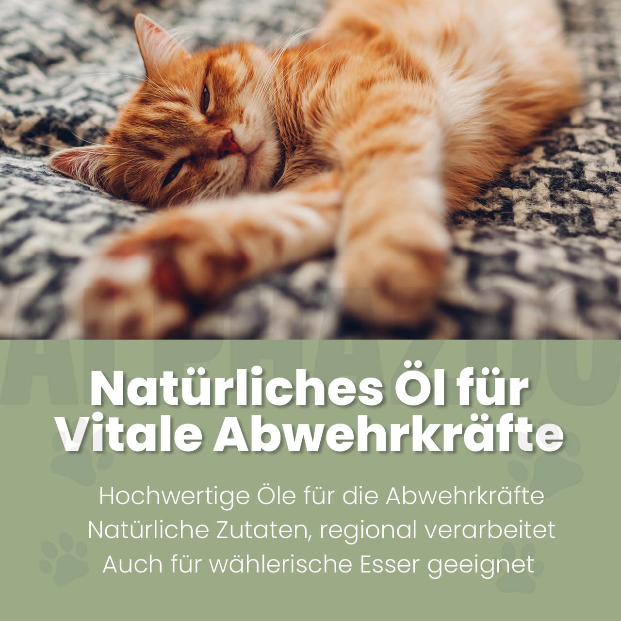 Alpha-Immun Futteröl für Katzen Alpha-Immun Futteröl für Katzen – Kaltgepresst, regional & nachhaltig