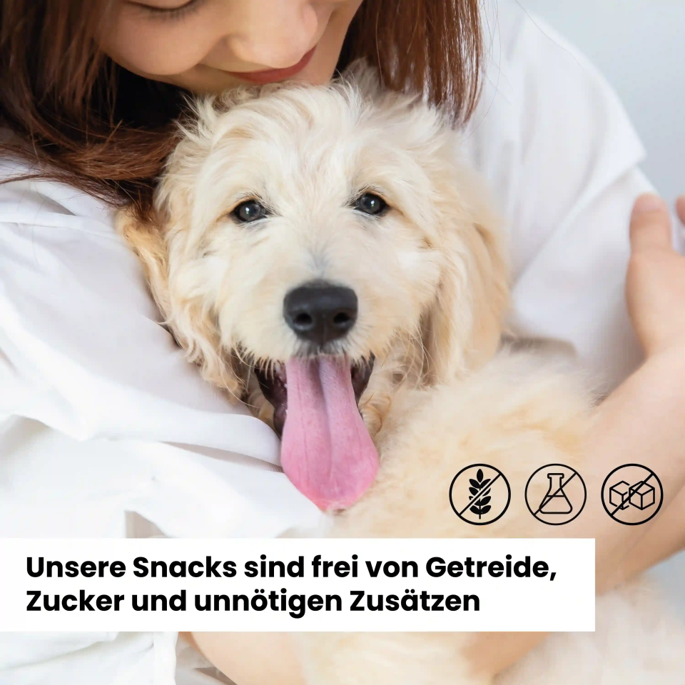 Alphazoo Adventskalender 2025 für Hunde