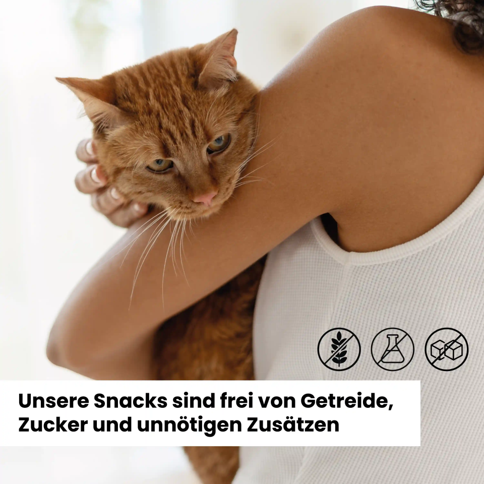 Alphazoo Adventskalender 2025 für Katzen