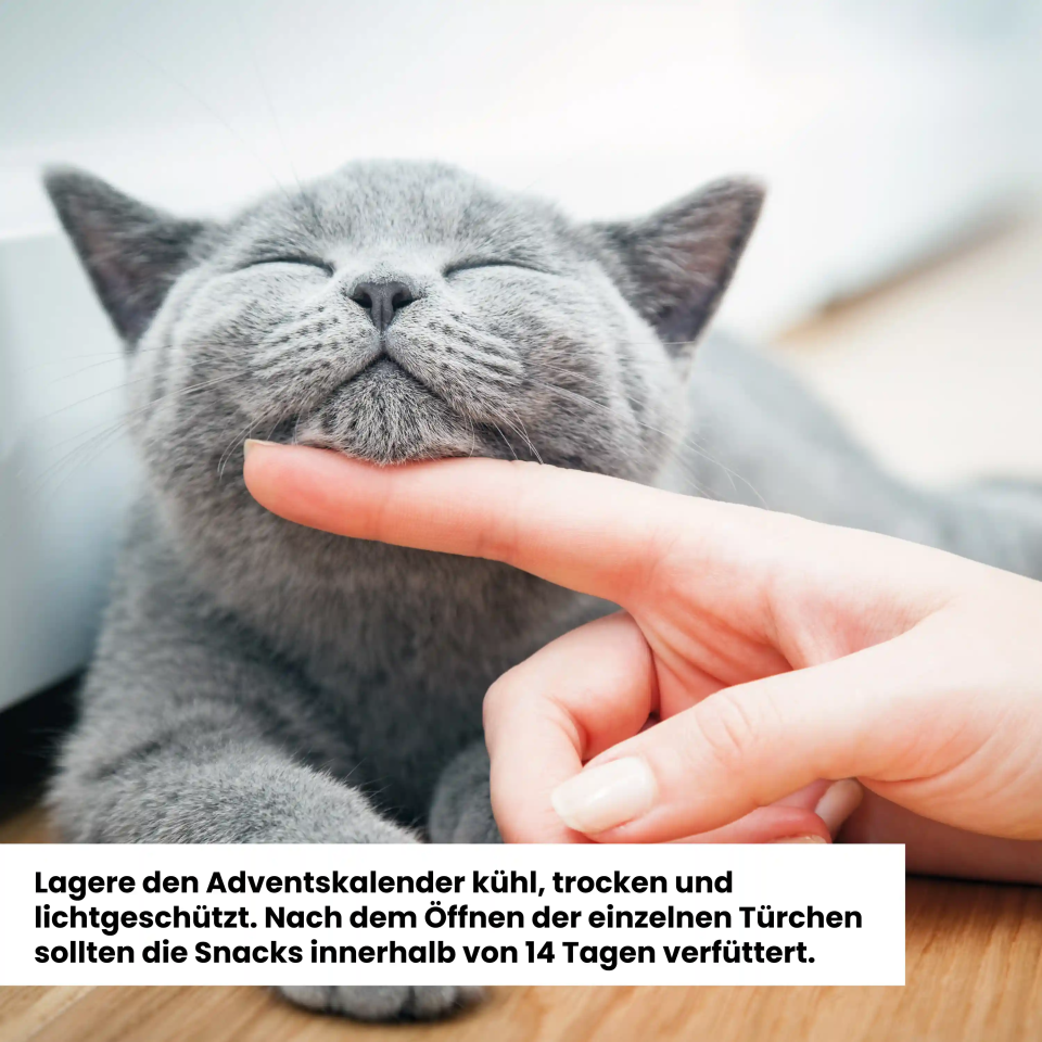 Alphazoo Adventskalender 2025 für Katzen