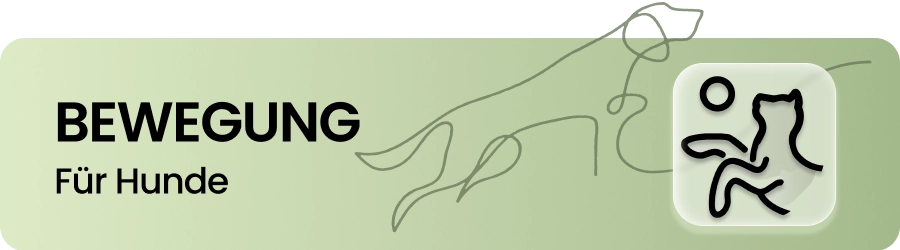Bewegung