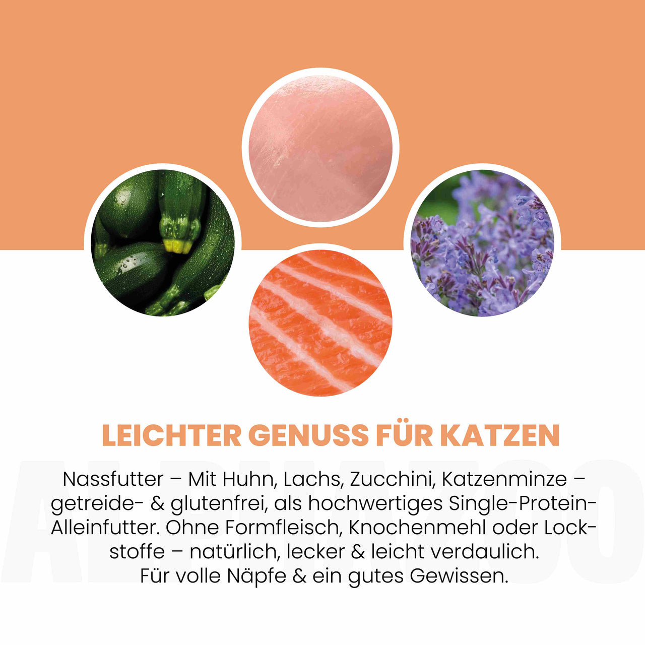 
                      Lachs + Huhn Nassfutter für Katze alphazoo Nassfutter Lachs + Huhn - Duoprotein für Katzen
                      