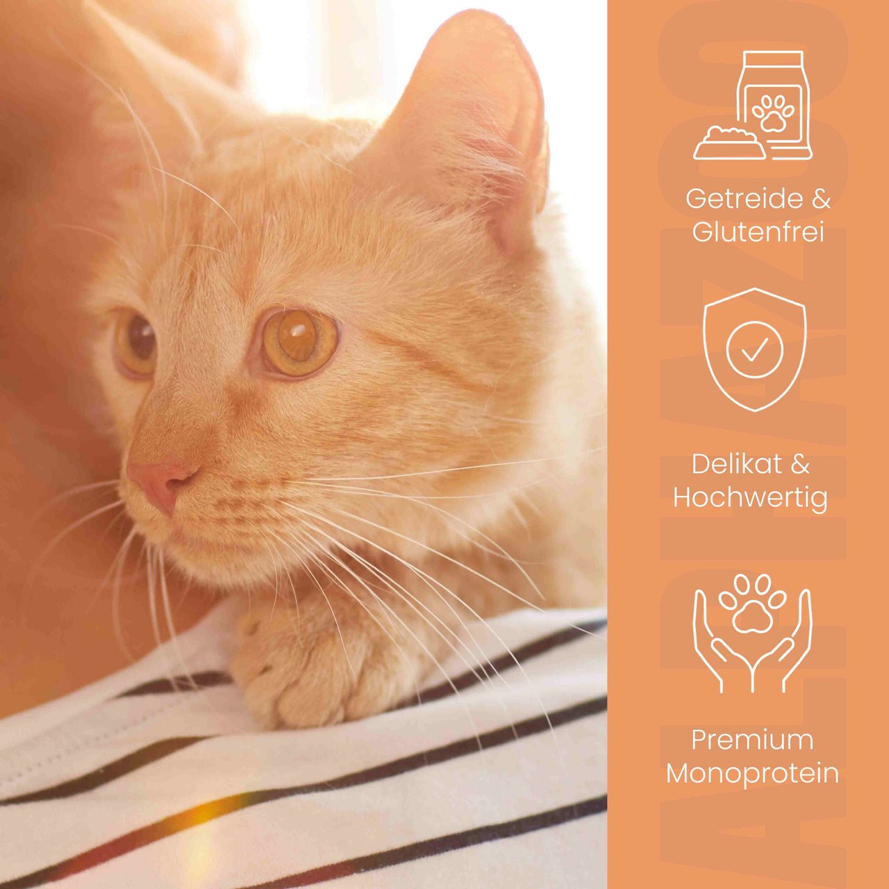 
                      Lachs + Huhn Nassfutter für Katze alphazoo Nassfutter Lachs + Huhn - Duoprotein für Katzen
                      